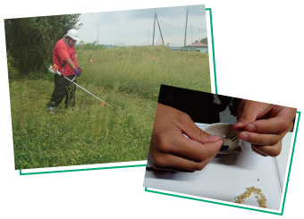 就労継続支援事業所ing - 作業風景2