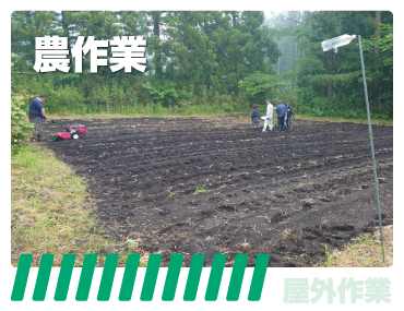 就労継続支援ing - 農作業